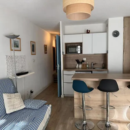 Apartament Banyuls, T2, Rez-de-jardin, Parking, Wifi, Clim - Fr-1-309-340 *