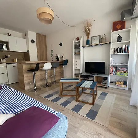 Banyuls, T2, Rez-de-jardin, Parking, Wifi, Clim - Fr-1-309-340 * בניולס-סור-מר
