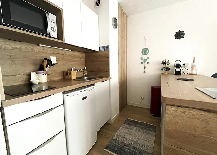 Apartamento Banyuls, T2, Rez-de-jardin, Parking, Wifi, Clim - Fr-1-309-340 *