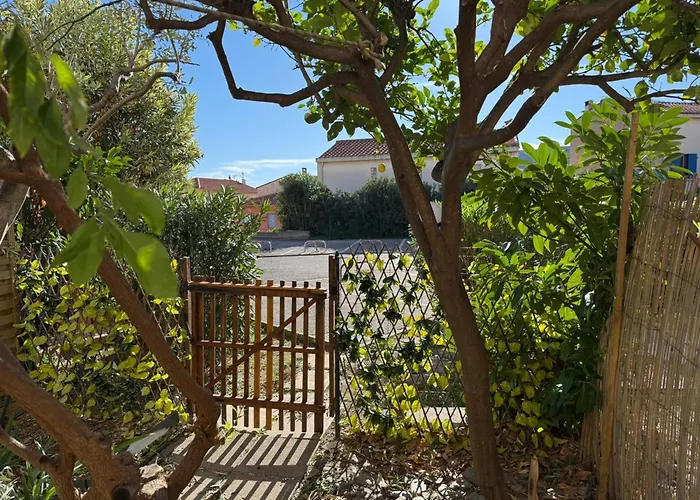 Apartamento Banyuls, T2, Rez-de-jardin, Parking, Wifi, Clim - Fr-1-309-340 Banyuls-sur-Mer