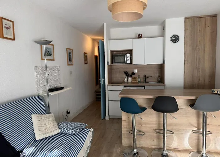 Apartamento Banyuls, T2, Rez-de-jardin, Parking, Wifi, Clim - Fr-1-309-340 *