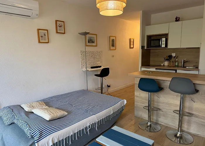 Apartamento Banyuls, T2, Rez-de-jardin, Parking, Wifi, Clim - Fr-1-309-340